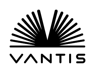 V VANTIS logo