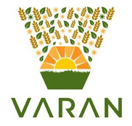 V VARAN logo