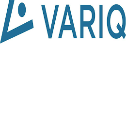 V VARIQ logo