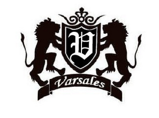 V VARSALES logo