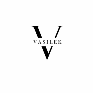 V VASILEK logo