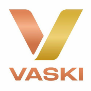 V VASKI logo