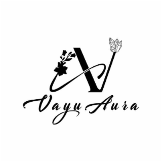 V VAYUAURA logo