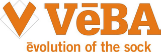 V VEBA EVOLUTION OF THE SOCK logo