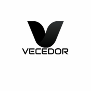 V VECEDOR logo