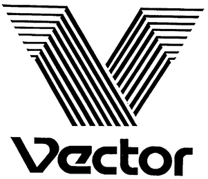 V VECTOR logo