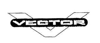V VECTOR