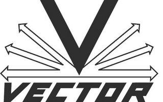 V VECTOR logo