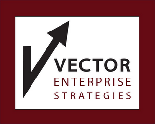V VECTOR ENTERPRISE STRATEGIES logo