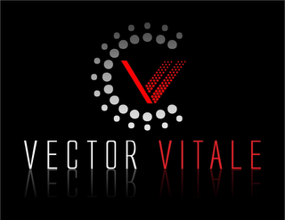 V VECTOR VITALE logo