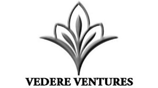 V VEDERE VENTURES logo