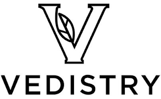 V VEDISTRY logo