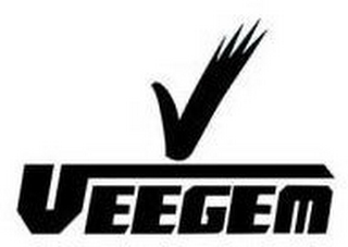 V VEEGEM logo