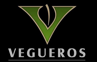 V VEGUEROS logo