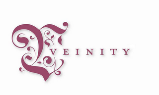 V VEINITY logo