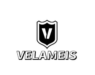 V VELAMEIS logo