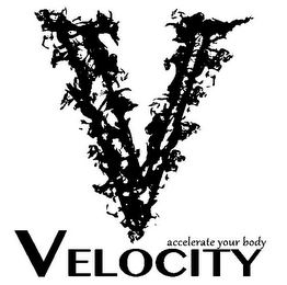 V VELOCITY ACCELERATE YOUR BODY logo