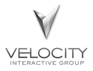 V VELOCITY INTERACTIVE GROUP logo