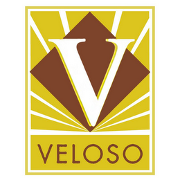 V VELOSO logo