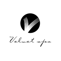 V VELVET SPA logo