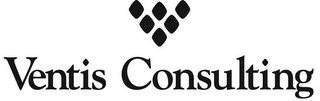 V VENTIS CONSULTING logo