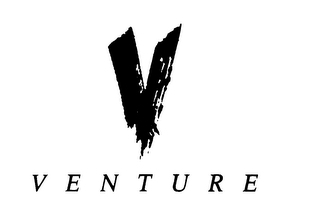 V VENTURE logo