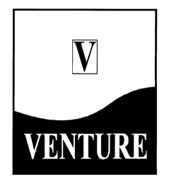 V VENTURE logo