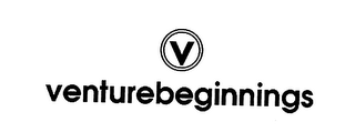V VENTURE BEGINNINGS logo