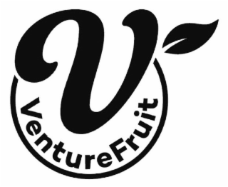 V VENTUREFRUIT logo
