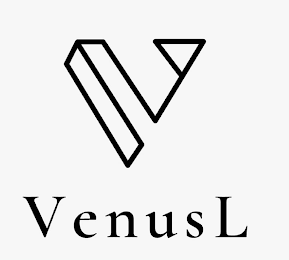 V VENUSL logo