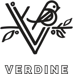 V VERDINE logo