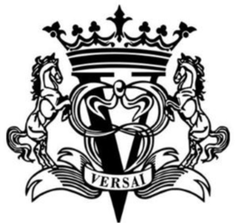 V VERSAI logo
