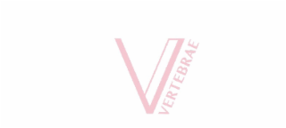 V VERTEBRAE logo