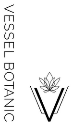 V VESSEL BOTANIC logo
