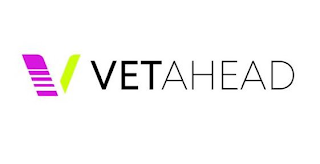 V VETAHEAD logo