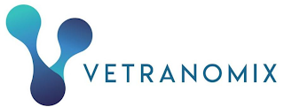 V VETRANOMIX logo