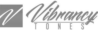 V VIBRANCY TONES logo