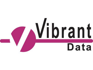 V VIBRANT DATA logo