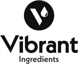 V VIBRANT INGREDIENTS logo