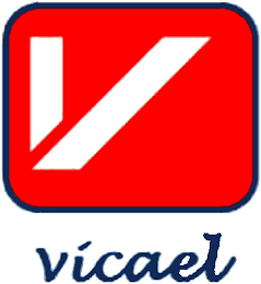 V VICAEL logo