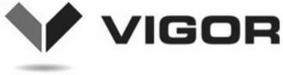 V VIGOR logo