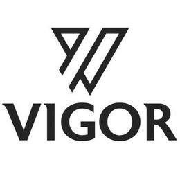 V VIGOR logo