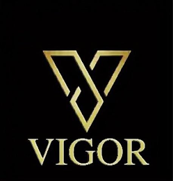 V VIGOR logo