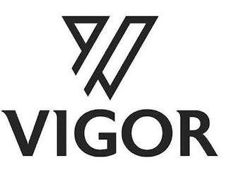 V VIGOR logo