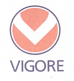 V VIGORE logo
