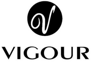 V VIGOUR logo