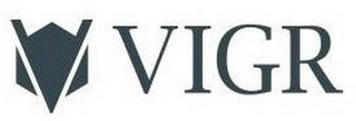 V VIGR logo