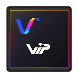V VIP logo