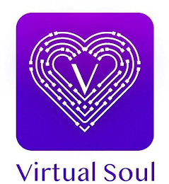 V VIRTUAL SOUL logo