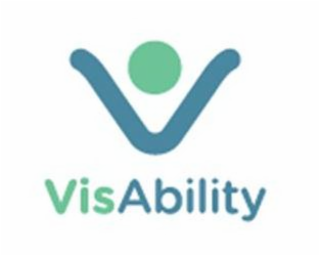 V VISABILITY logo